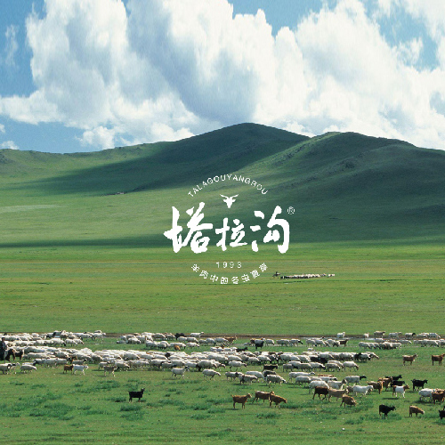 羊肉中的冬蟲夏草-塔拉溝